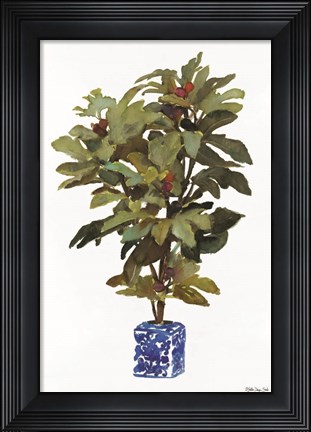 Framed Fig Tree 2 Print