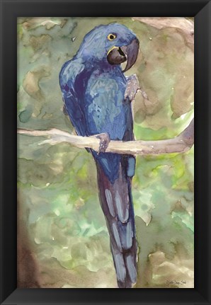 Framed Blue Parrot 2 Print