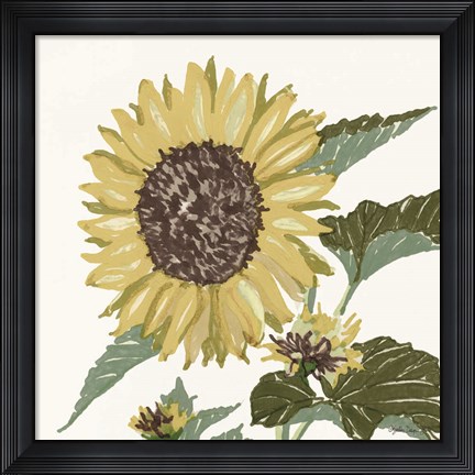 Framed Floral Study 3 Print