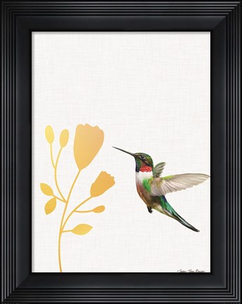 Framed Hummingbird and the Flower Print