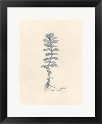 Framed Uprooted I Print