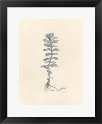 Framed Uprooted I Print