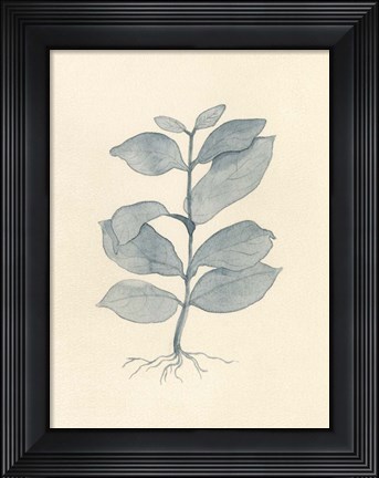 Framed Uprooted II Print