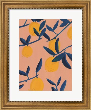 Framed Sunlit Grove II Print