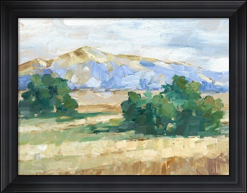 Framed Sunny Field II Print