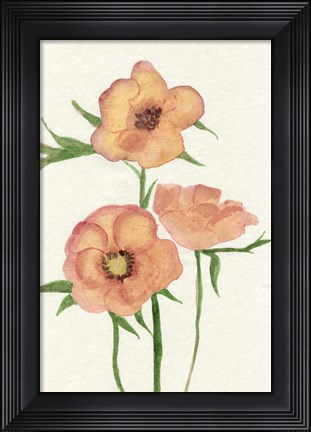 Framed Petite Fleur IV Print