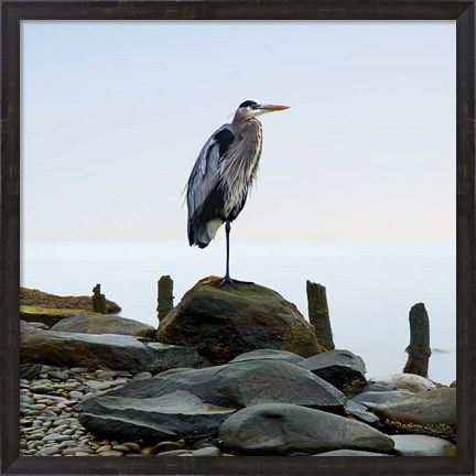 Framed Beachscape Heron I Print