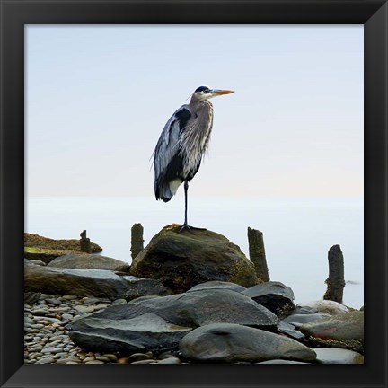 Framed Beachscape Heron I Print