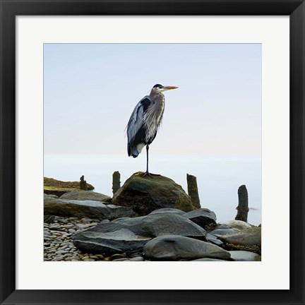 Framed Beachscape Heron I Print