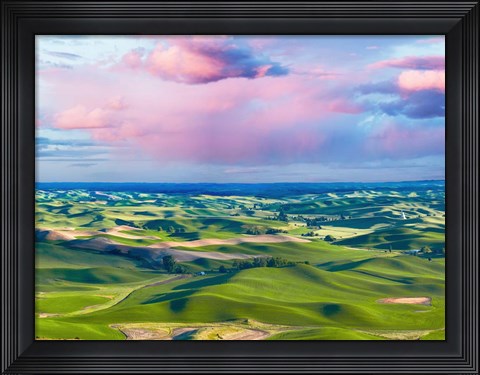 Framed Farmscape Photo I Print