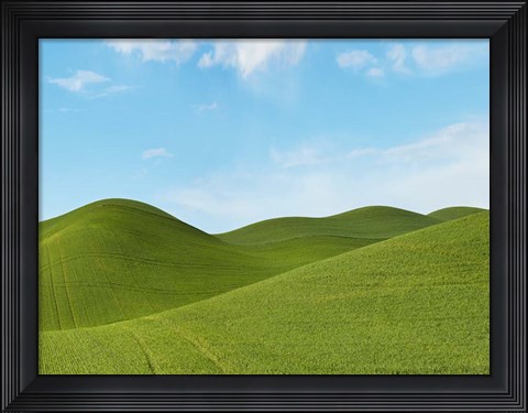 Framed Farmscape Photo III Print