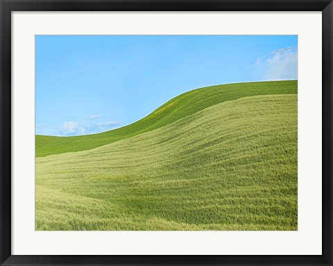 Framed Farmscape Photo IV Print