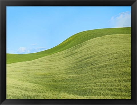 Framed Farmscape Photo IV Print