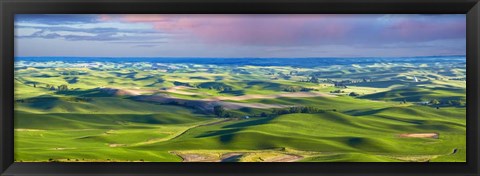 Framed Farmscape Panorama IV Print