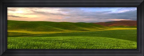 Framed Farmscape Panorama VI Print