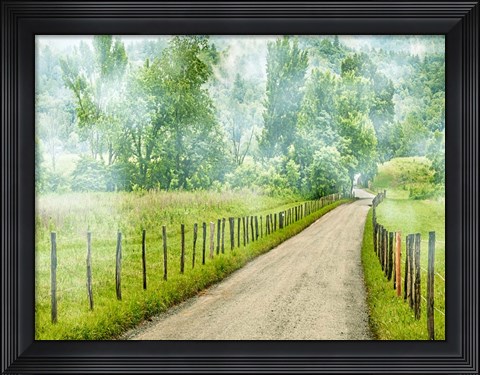 Framed Country Road Photo II Print