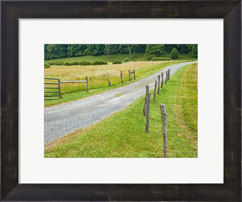 Framed Country Road Photo III Print