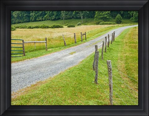 Framed Country Road Photo III Print