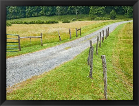 Framed Country Road Photo III Print