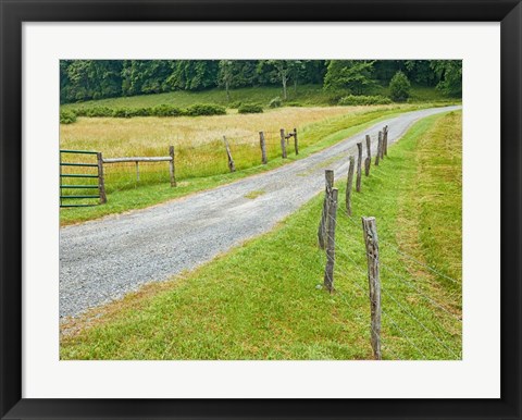 Framed Country Road Photo III Print