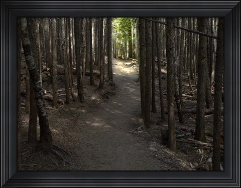 Framed Country Road Photo VI Print