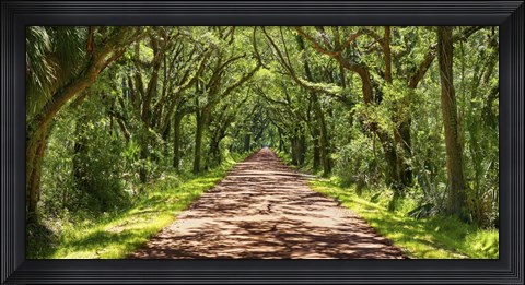 Framed Country Road Photo VII Print