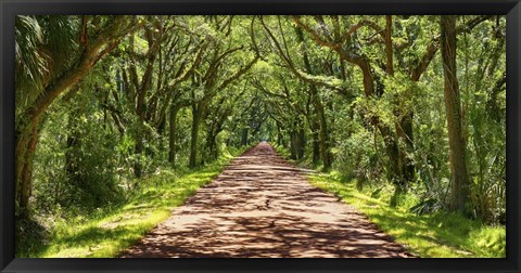 Framed Country Road Photo VII Print