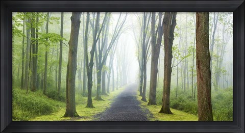 Framed Country Road Photo VIII Print