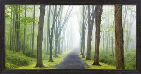 Framed Country Road Photo VIII Print