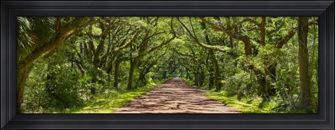 Framed Country Road Panorama IV Print