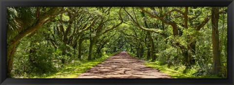 Framed Country Road Panorama IV Print