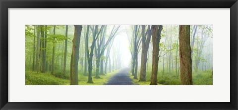 Framed Country Road Panorama V Print
