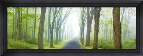 Framed Country Road Panorama V Print
