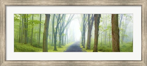 Framed Country Road Panorama V Print