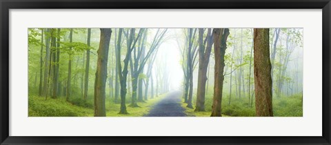 Framed Country Road Panorama V Print