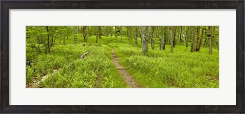 Framed Country Road Panorama VI Print