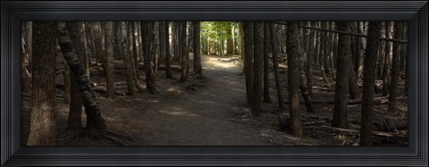 Framed Country Road Panorama VII Print