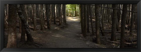 Framed Country Road Panorama VII Print