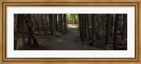 Framed Country Road Panorama VII Print