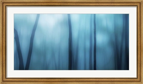 Framed Harriman Woods I Print