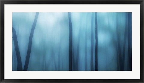 Framed Harriman Woods I Print