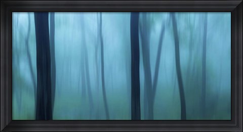 Framed Harriman Woods II Print