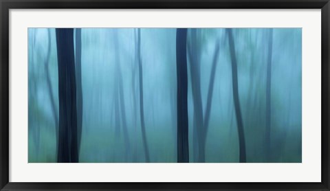 Framed Harriman Woods II Print