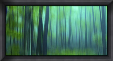 Framed Harriman Woods III Print