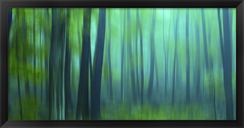 Framed Harriman Woods III Print