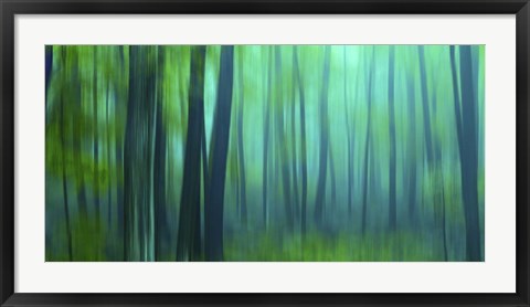 Framed Harriman Woods III Print