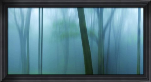 Framed Harriman Woods IV Print