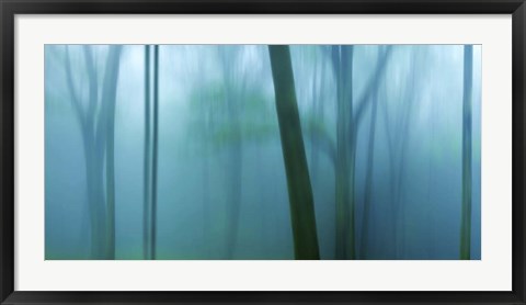 Framed Harriman Woods IV Print