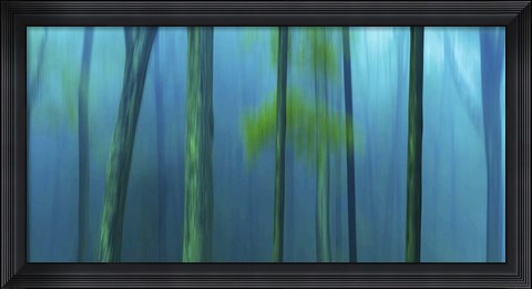 Framed Harriman Woods V Print