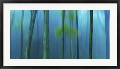 Framed Harriman Woods V Print